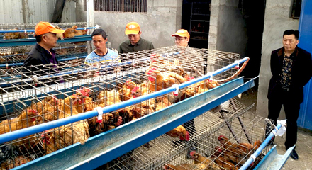 科技助农促发展，我院科研人员赴凉山州雷波县开展扶贫工作