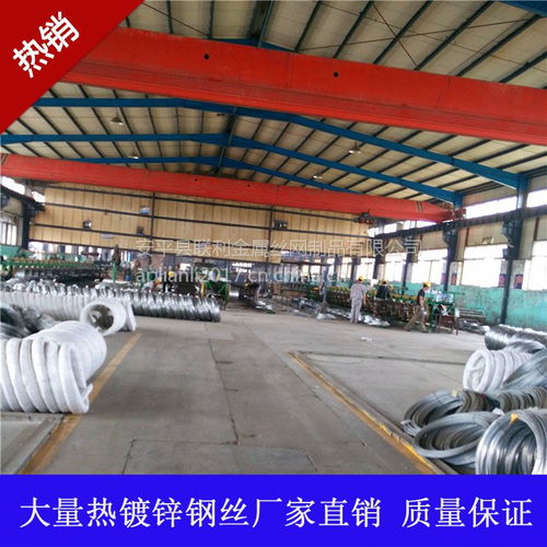 安平丝网厂 专业生产各类镀锌铁丝，厂价直销，助力农业发展