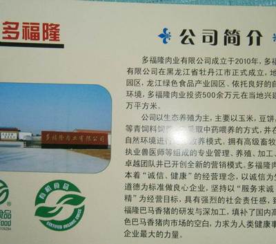 哈尔滨家禽销售指南 巴马香猪的选购与商机
